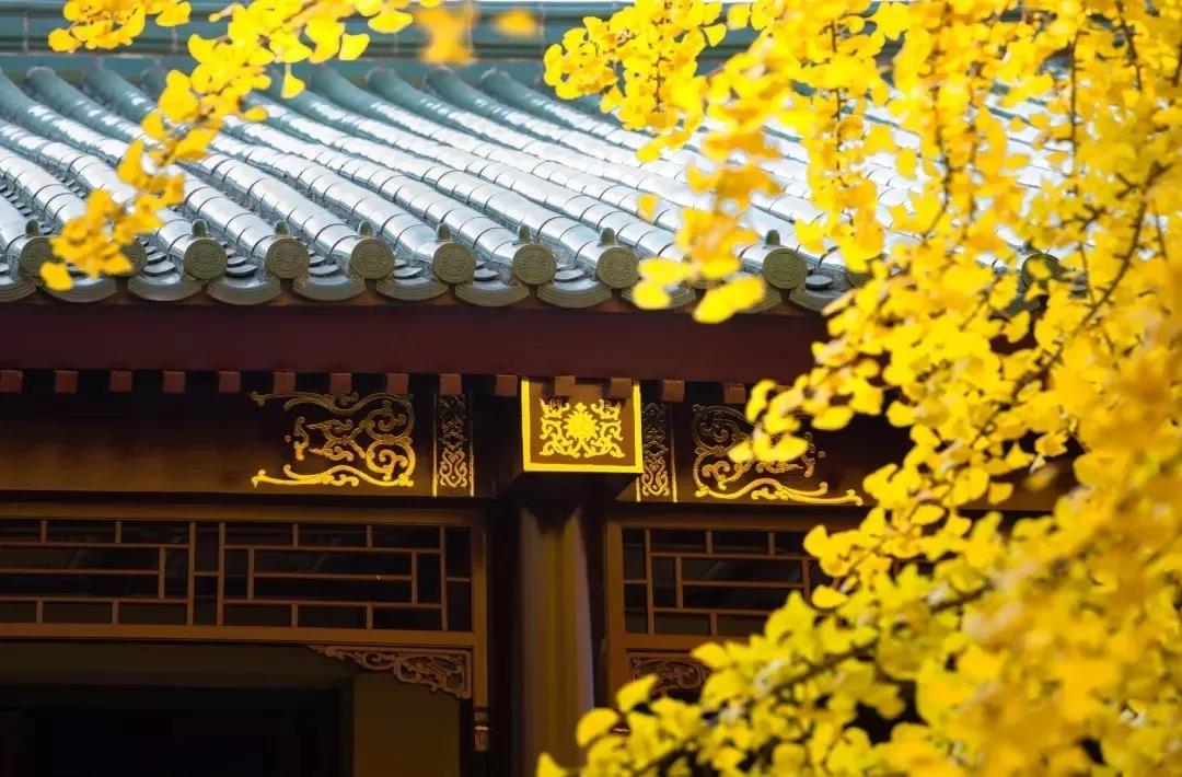 һ�����ۺ;����ڵ����������кι�����