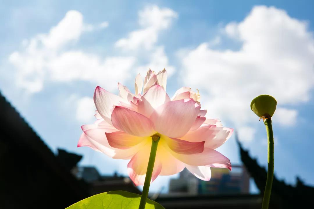 ����ʲô�������ĸ��֡����ڵ��¡�