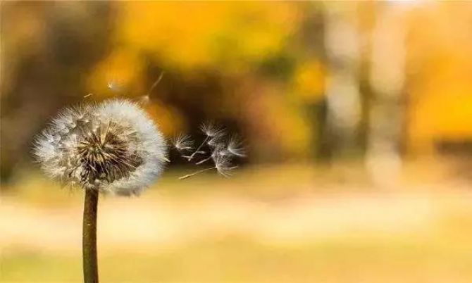 ��λ����ȥ��ǰ��������������ԩ�᣿