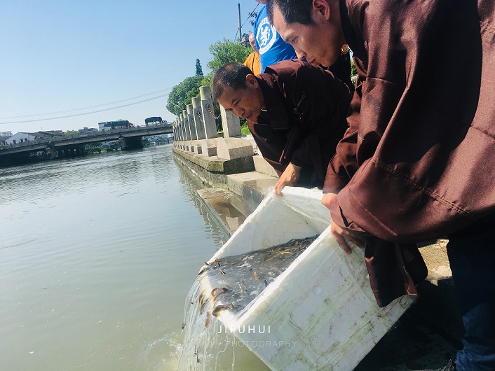 积福慧启建庚子年第十期放生共修!(已圆满) 积福慧启建庚子年第十期放生共修!(已圆满)