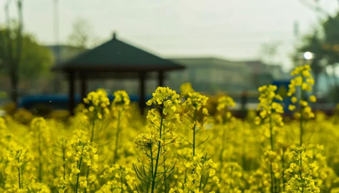 ��Եһֱ�ڱ䣬����ɵɵ����