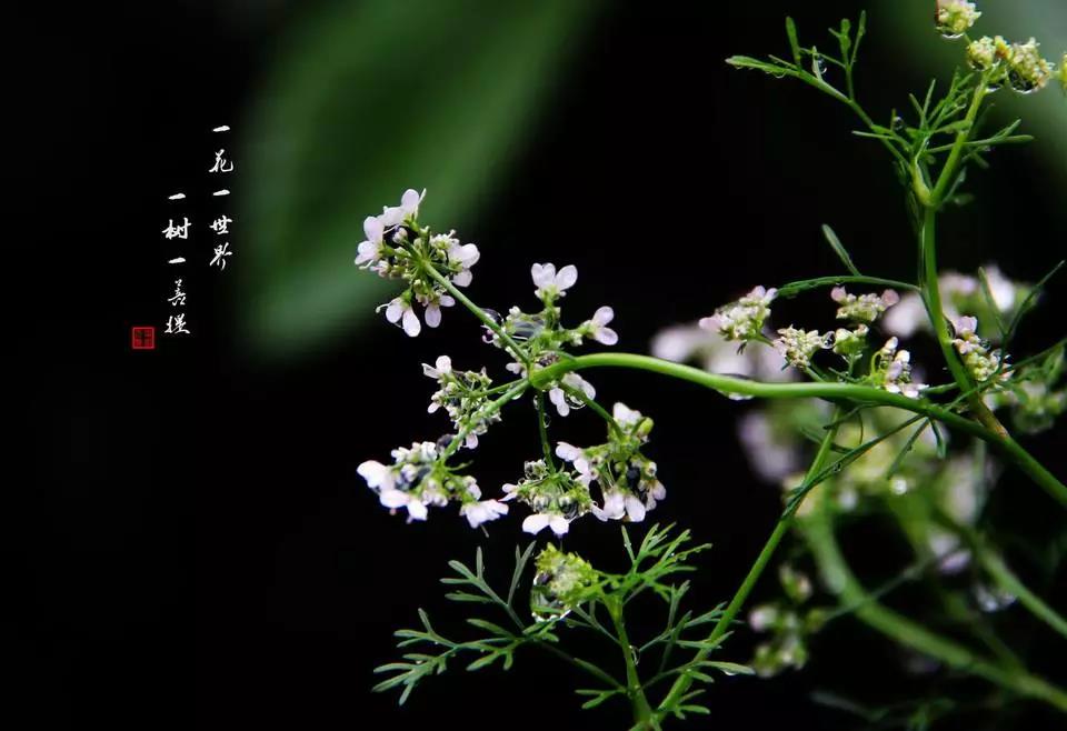 一切都是福报,如何积累福报呢? 一切都是福报,如何积累福报呢?