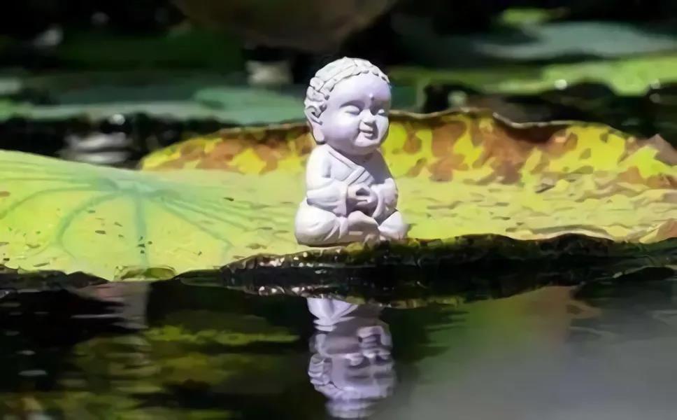 ӡ�ⷨʦ���Է����ģ�����ʥ�ˣ��������