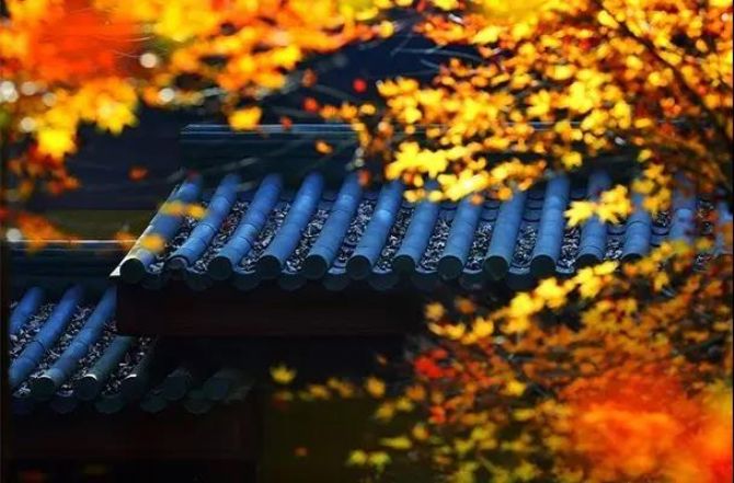 Ů��ʿ��κ�����ʦ���ദ�������Լ��Ƿ�������������ɮ����