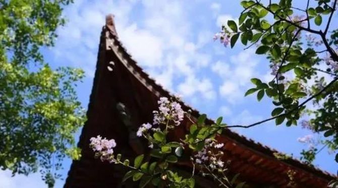 �����֪�������׷ɣ������һ������