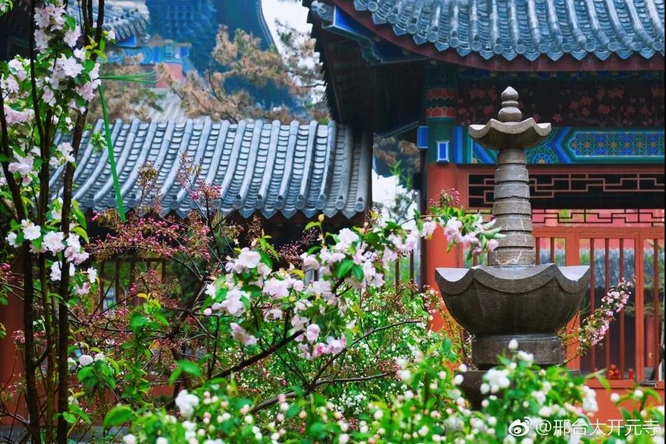 �����֪�������׷ɣ������һ������