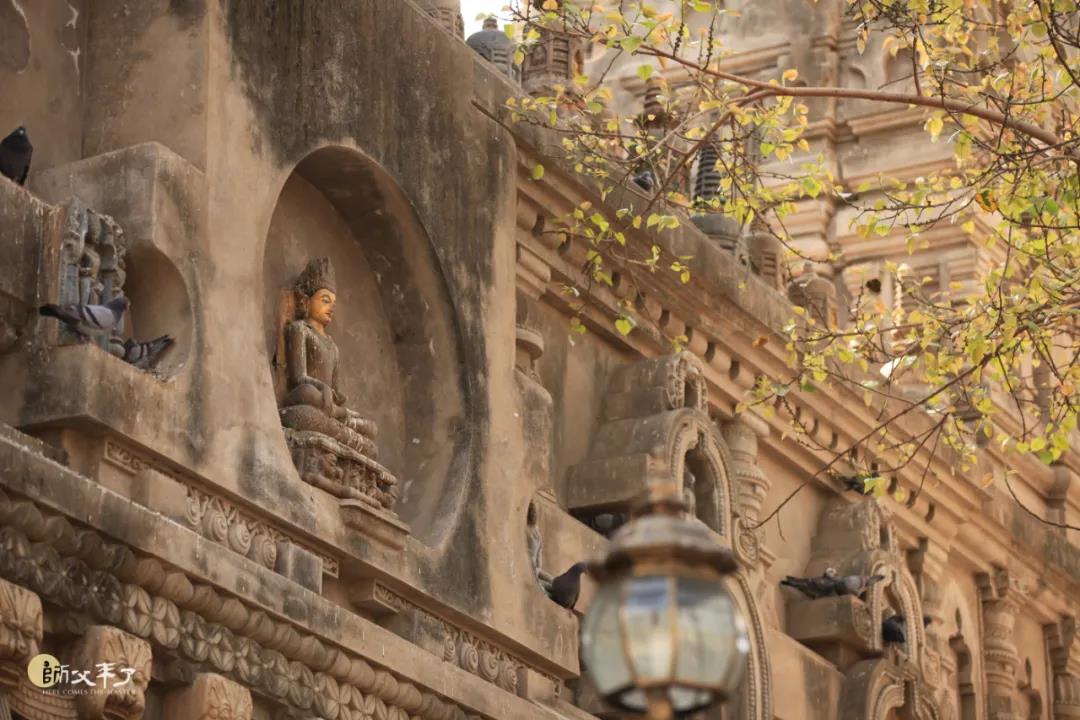 ѧ��С�׿�������ʦ���������⼸��֪����