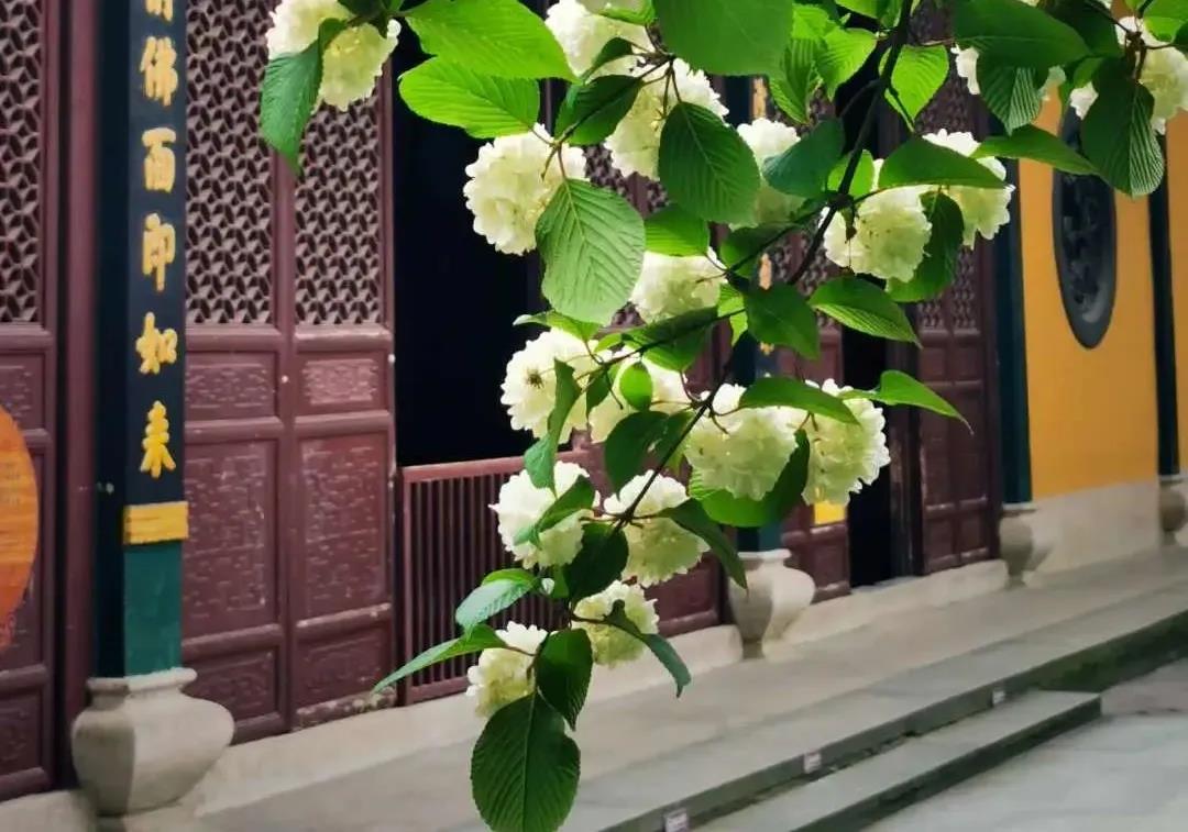 û�����������������ȴ�з��¿������ǻ�