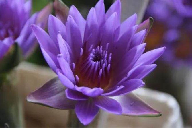 ������ɫ�أ�ѧ���پ�Ҳ��ѧ