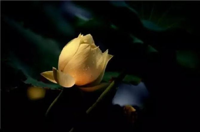 һ�����¸����㣺ԭ�������Ķ����и�֮�ˣ�