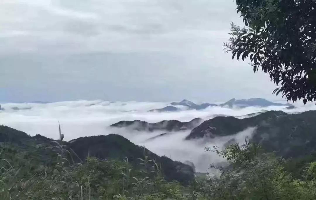 ѧ�����ѣ���������