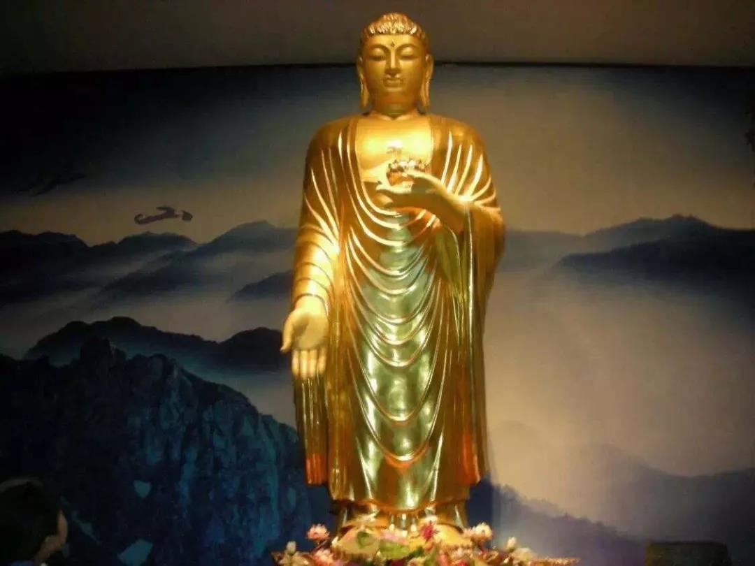 ����ˣ�Ӧ��Ҫ����������������