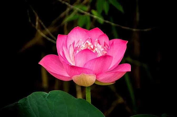 你以为占便宜,其实是灾祸 你以为占便宜,其实是灾祸