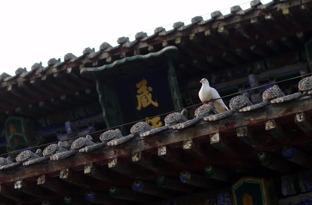 �������еĶԻ������������ˣ�