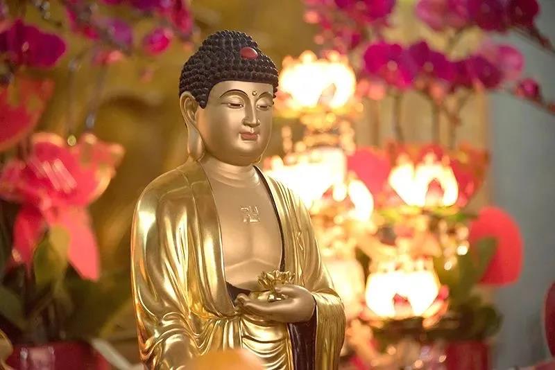 ӡ�ⷨʦ����Σ���У�һ����ţ�����Σ��