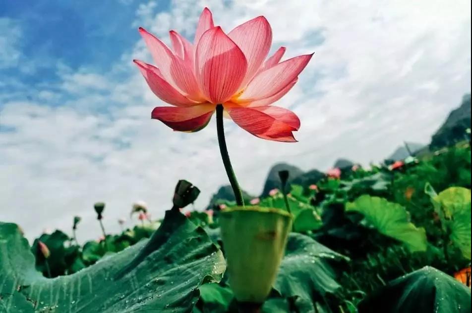 ��տ�Ϻ��з��￪ʾ��