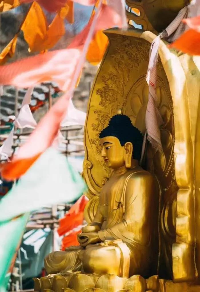 û����ʱ20������У��ڿ����ֻ��һ����