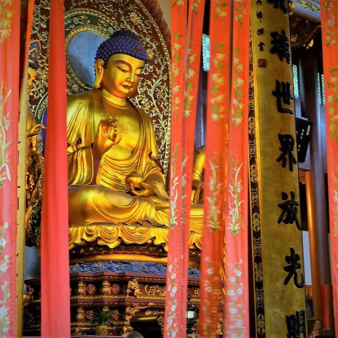 ҩʦ����ʮ����Ը֮��ʤ��ԸԸ��Ϊ�Ȼ�������