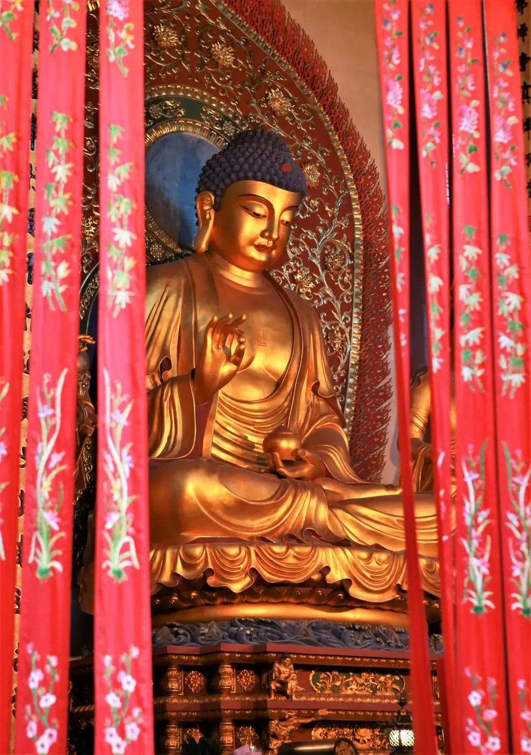 ���չ�ӭҩʦ��ʥ������Ը�����������١�����Բ����