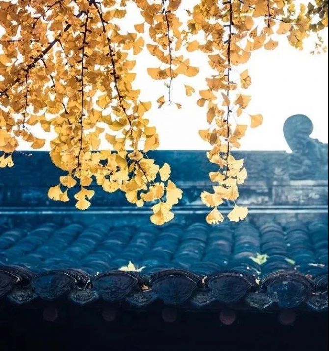 �������������������ԣ�