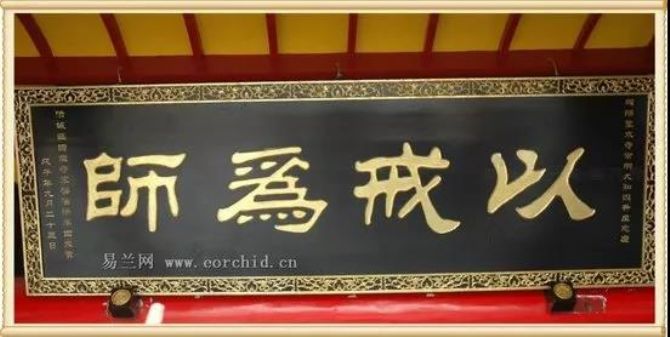 �ֽ��������������ʦ�Ƕ���ô�ޣ�