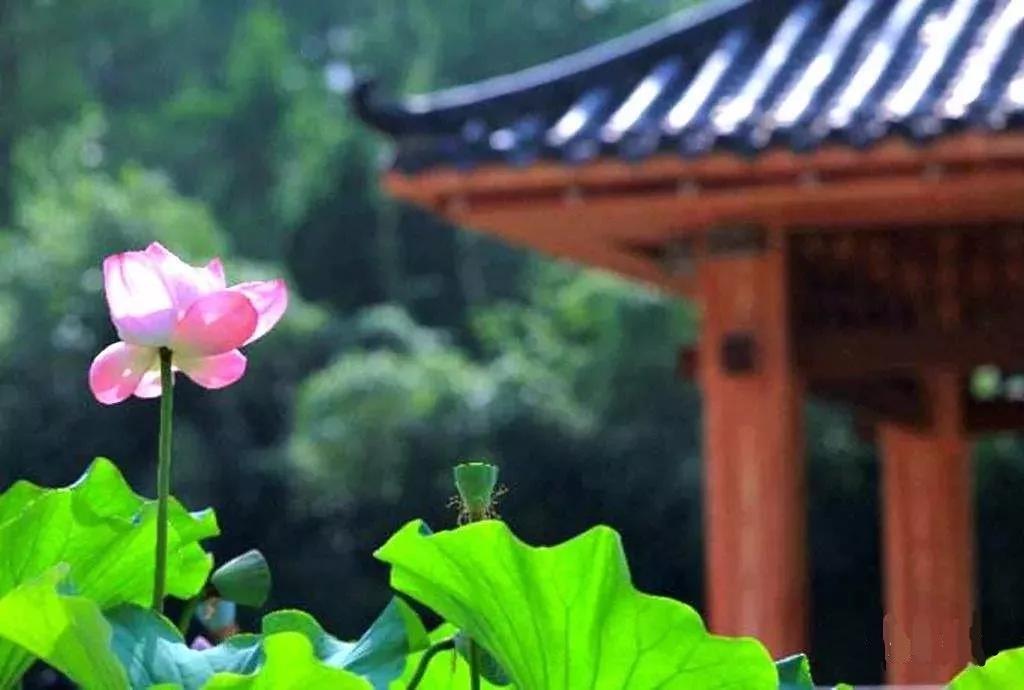 �ֽ��������������ʦ�Ƕ���ô�ޣ�