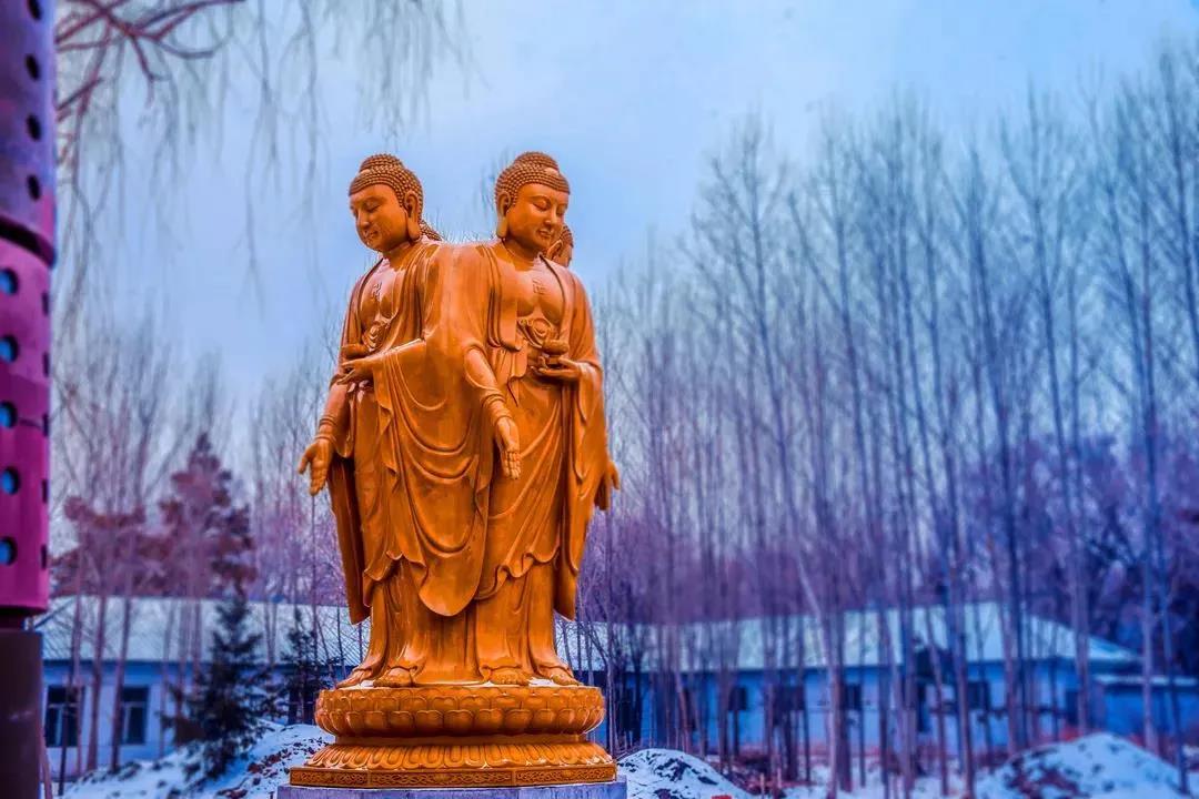 修学净土“信不真、愿不切”的原因到底在哪里? 修学净土“信不真、愿不切”的原因到底在哪里?