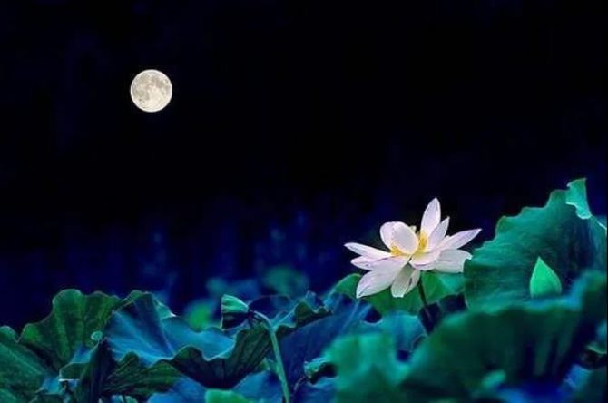 ӡ���ʦ����ѧ���ˣ�ҹ�䲻��˯����ǰ����ƨ����