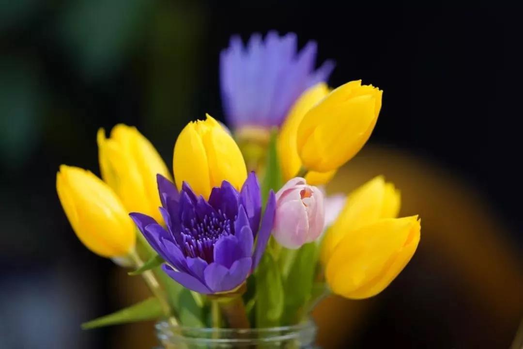 ��̫���棡����ǧǧ�ᣬ�˽ⲻ�˽�