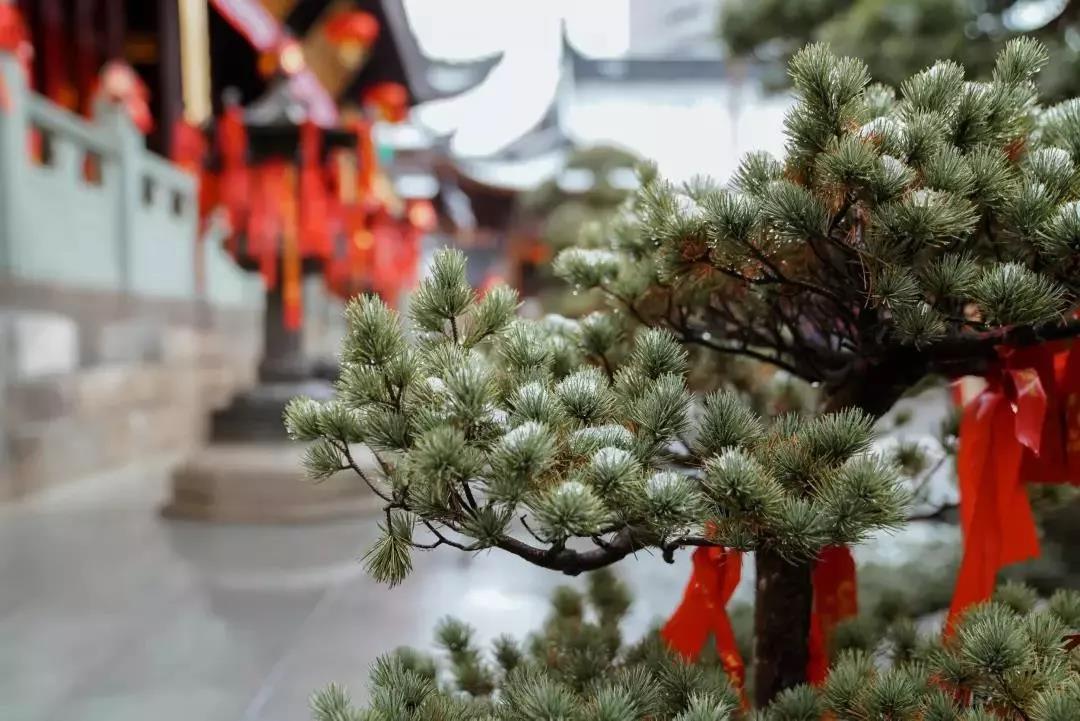 ��̫���棡����ǧǧ�ᣬ�˽ⲻ�˽�