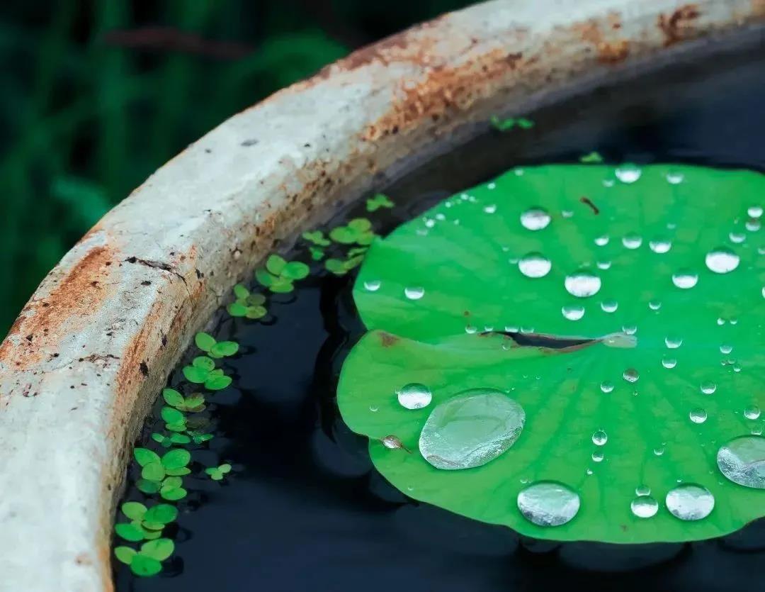 �ŷ����������ģ�������˵������ݷ�������ŷ���