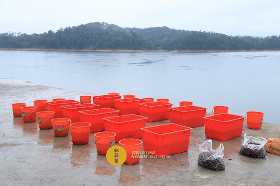 ���գ������������������ʮ���ڷ������ޣ���ϲ�μӣ�