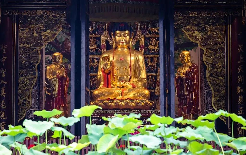 ����ѧ���ˣ�����������~