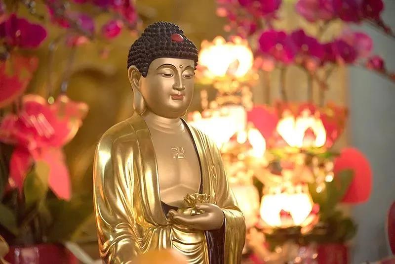 ӡ�ⷨʦ���������Ψ������Ϊ����