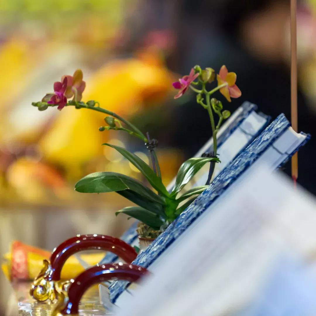 ѧ��ĺ���Ҫ�죨���ʾ��ֵ���ղأ�