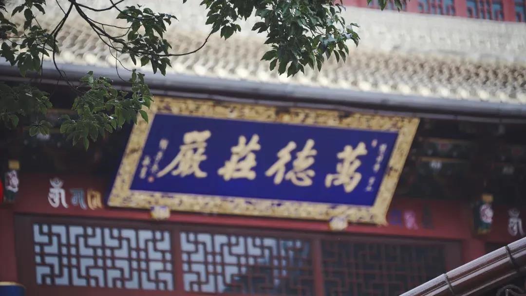 ѧ��ĺ���Ҫ�죨���ʾ��ֵ���ղأ�