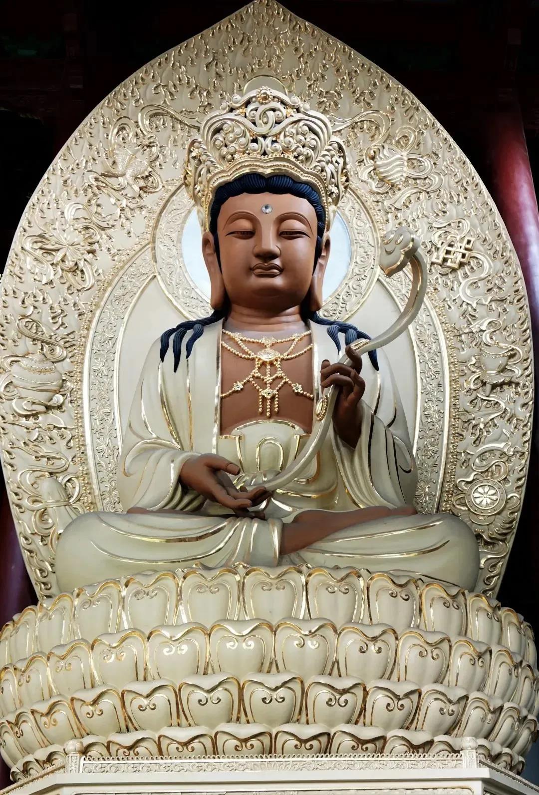 ���չ�ӭ�������������գ���Ը�����������۾��㣬�þ����֣�