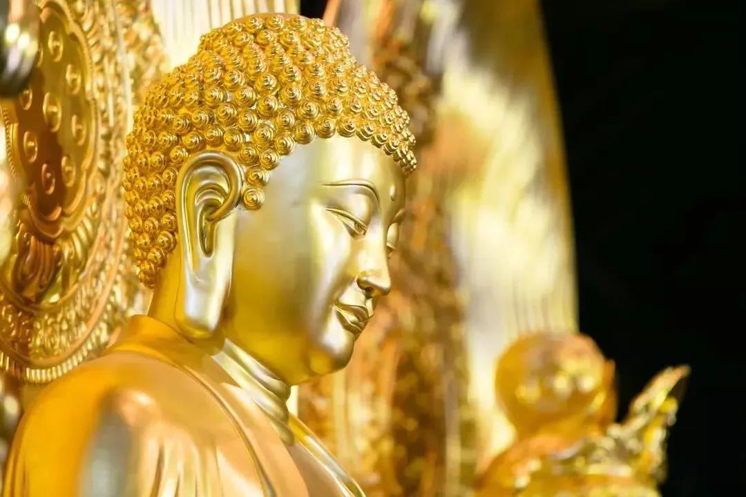 往生极乐净土后何时会乘愿再来? 往生极乐净土后何时会乘愿再来?