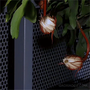 ��Եʱ���������ˣ���Щ��Ҫ������