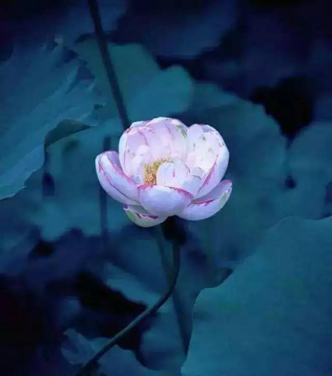 ���������䣬Ҳ���ӱ���ʵ������������������