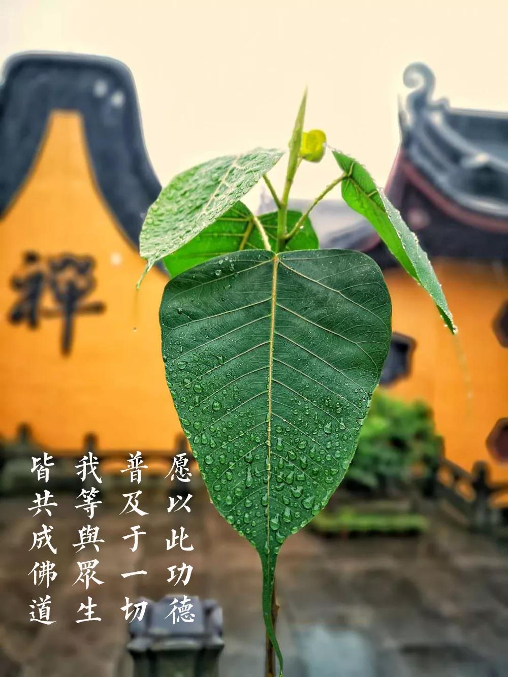 ����ʱ����ҵ����һ��Ҫ�μ�9����