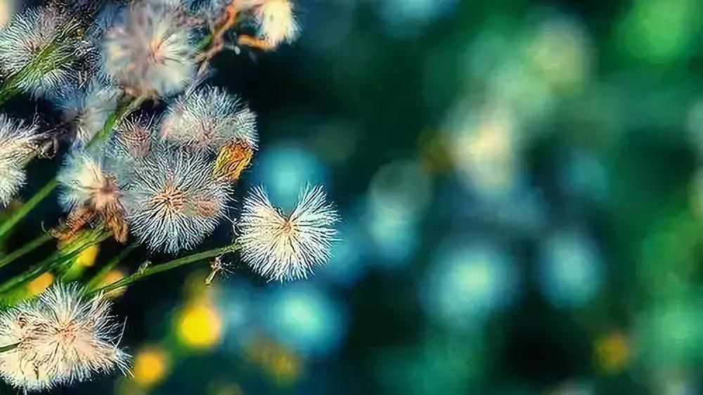 �Ҽ���Ĺ��£�˭Ҳ�Ӳ����������ô��ȥ�ľ���ô������