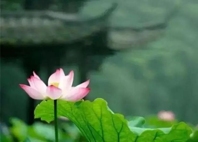 �����������Ӱ��