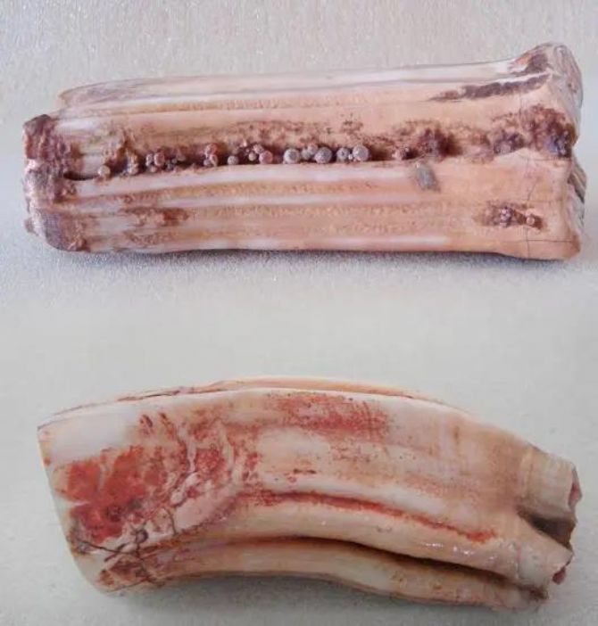 ���������������ߵ�������ʲô��