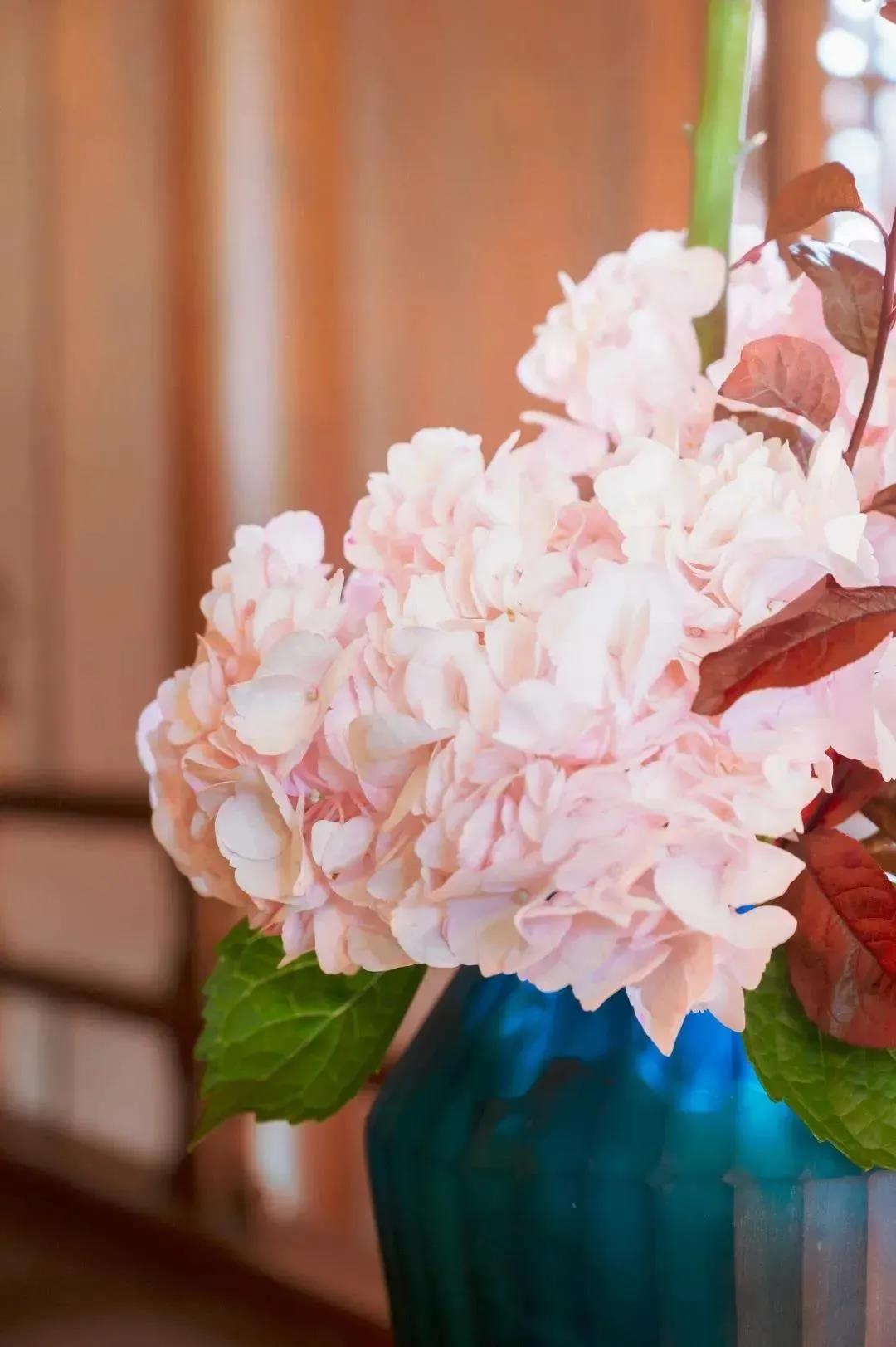 �ܿ�������谭����������Ŀ�