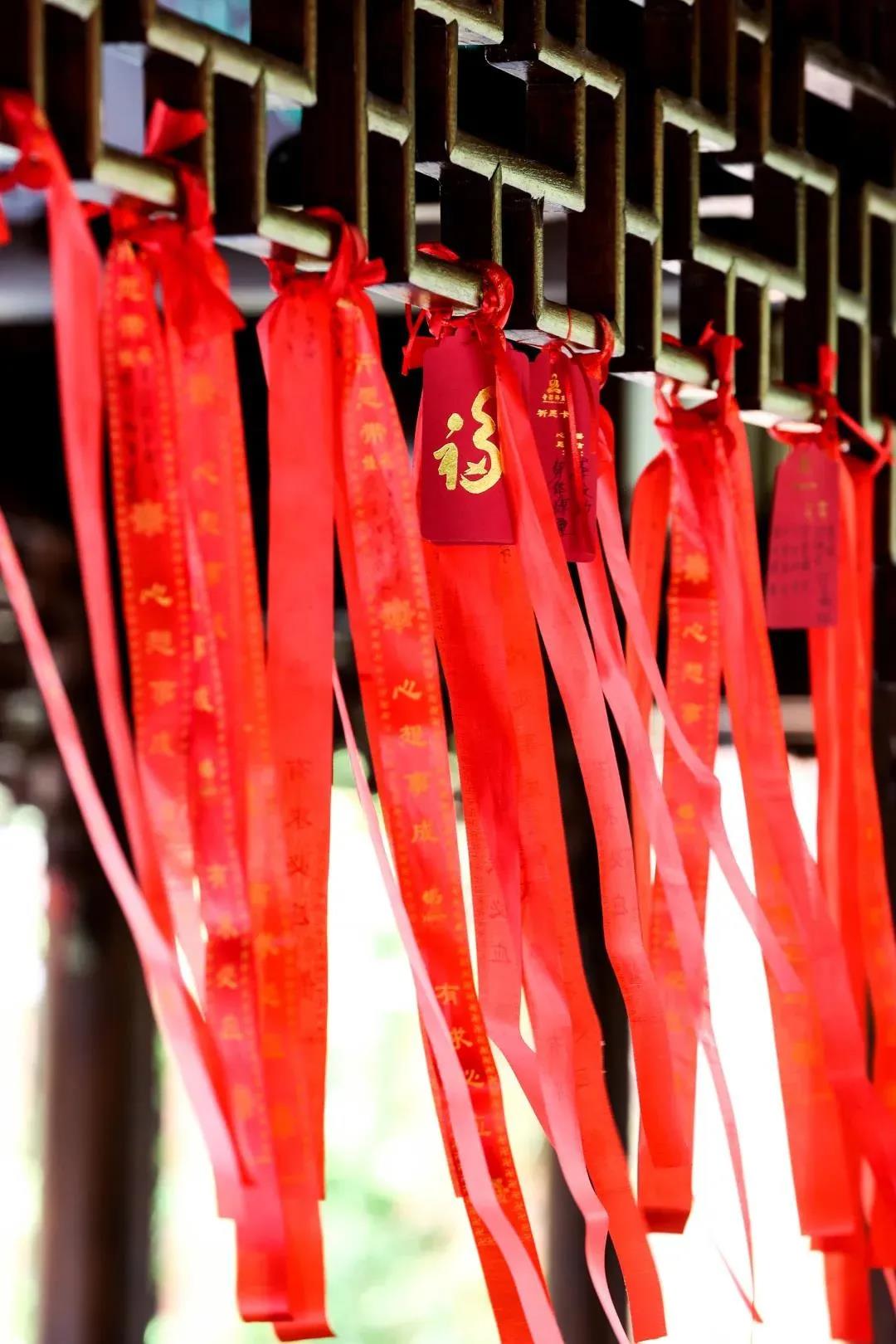 �ܿ�������谭����������Ŀ�