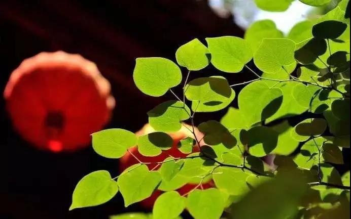 ���������Լ����ģ�����������