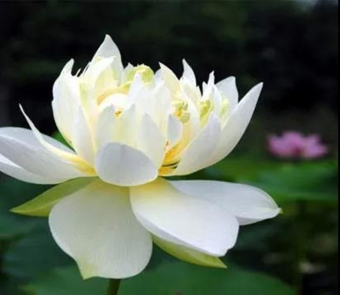 �����գ���������