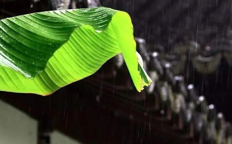 �����Ӧ�������ص�������ܣ���֪����