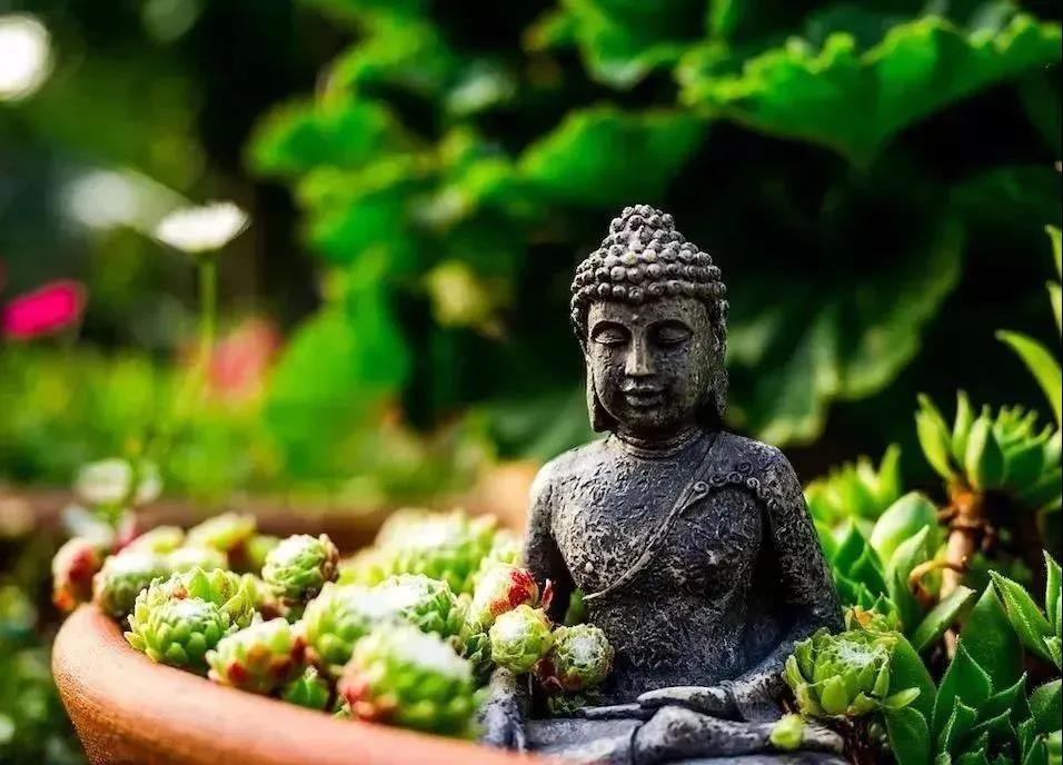 ӡ���ʦ����80�����ؼ�����ҽ֮ӡ��ҩ��ѡ��